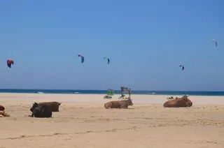 escuela kite fun tarifa