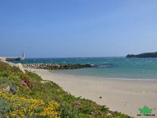 vientos spots kitesurf tarifa