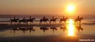 paseos caballo tarifa