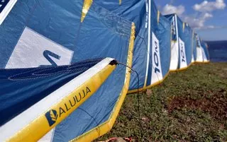 aluula kites