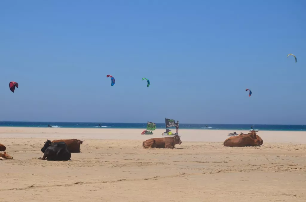 kite fun tarifa kiteschule