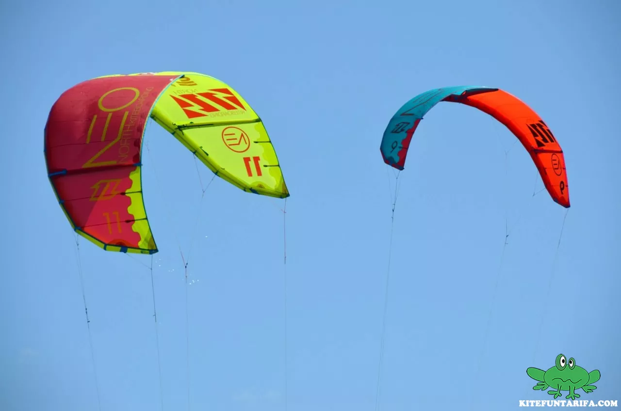 north neo kite delta shape