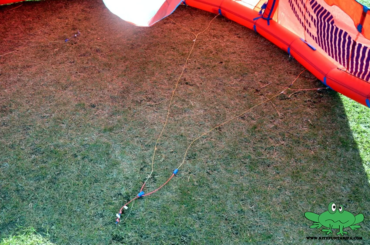 bridle system north neo 2016